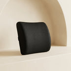 Memory Foam Lumbar Support Pillow